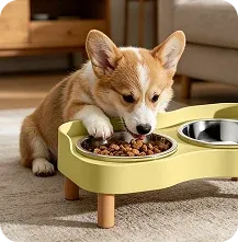 A dog eating from an elevated feeder bowl