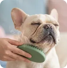 A dog being brushed with a grooming tool