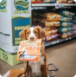 A dog in the pet store food aisle